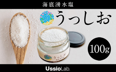  海底湧水塩うっしお 100g　YE01