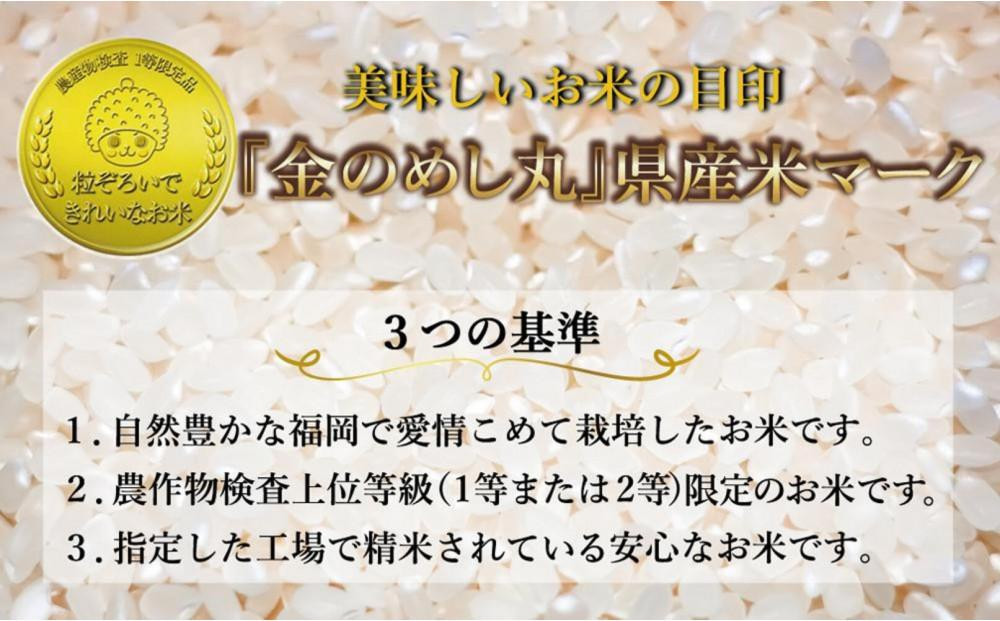＜全3回定期便＞令和8年米 福岡県産 米 【無洗米】金のめし丸元気つくし 5kg