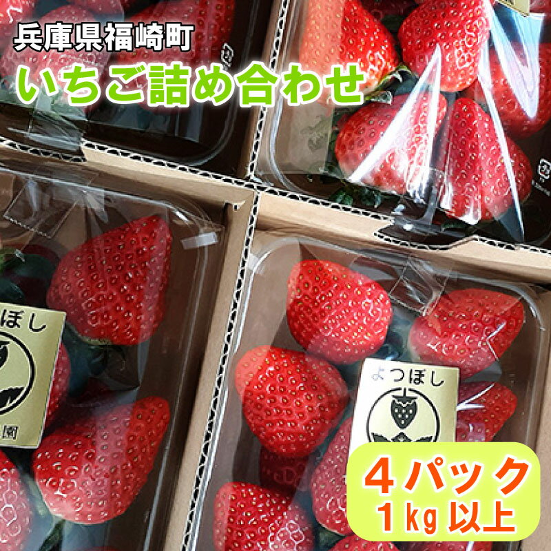【ふるさと納税】いちご詰め合わせ（4パック計1kg以上）贈答用 化粧箱入り　 果物類 いちご 果物 フルーツ 詰め合わせ 　お届け：1月中旬～3月下旬