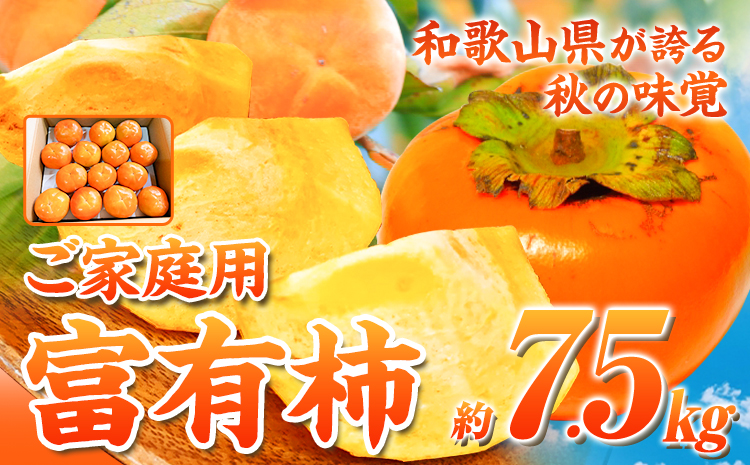 ＊先行予約＊【家庭用訳あり】和歌山秋の味覚富有柿約7.5kg株式会社魚鶴商店《2025年11月上旬-12月上旬頃出荷》柿富有柿フルーツ---wsh_uot85_11j12j_24_23000_75---