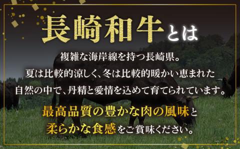 【2回定期便】長崎和牛 シャトーブリアン ステーキ用 (200g×2) 計800g  ヒレステーキ ヒレ フィレ ステーキ肉 大人気 希少部位 東彼杵町/有限会社大川ストアー [BAJ086]