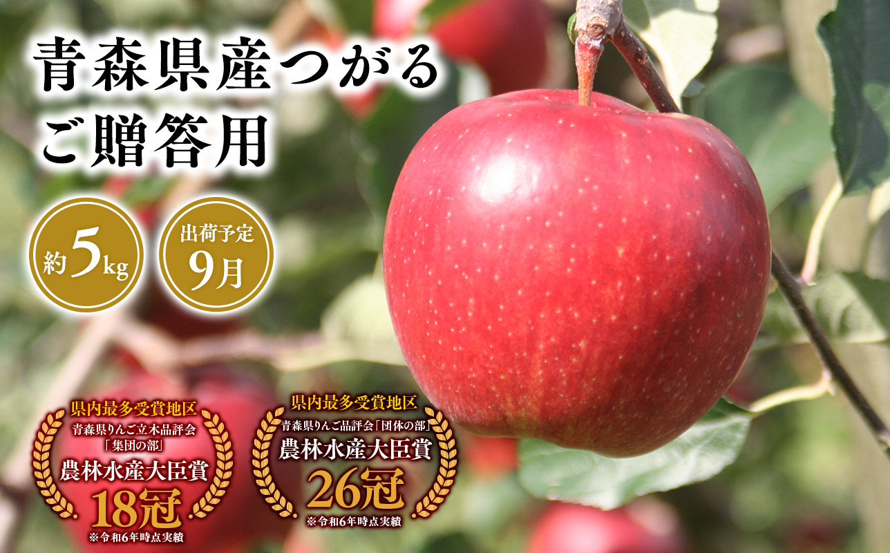 2026年産9月発送　贈答用つがる5kg【青森県 平川市 そと川りんご園】9月発送 贈答 青森 青森県産 平川 りんご リンゴ 林檎 くだもの 果物 フルーツ