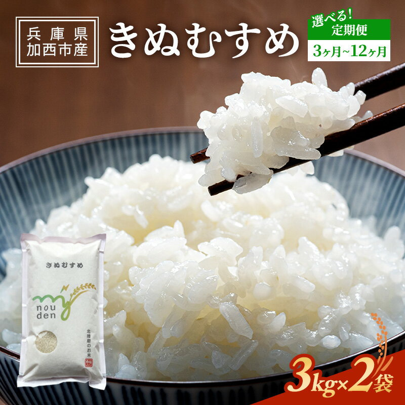 【ふるさと納税】お米 定期便 きぬむすめ 6kg(3kg×2袋) 3ヶ月～12ヶ月連続お届け 米 単一原料米 おいしい 事業者支援 白米 精米 国産 ごはん ご飯 白飯 小分け 百合農園