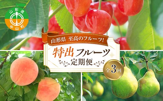 《2026年6月発送開始》山形県至高のフルーツ定期便3回！山形県特出フルーツ定期便 全3回 F4A-0458