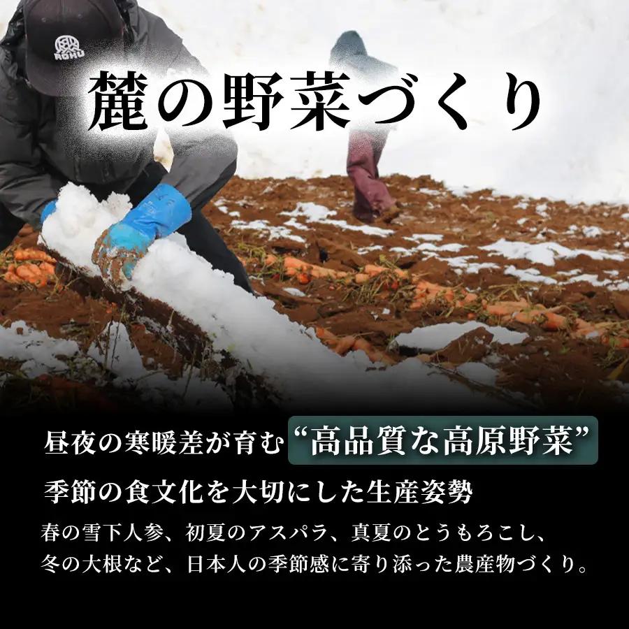 雪下にんじんジュース 200ml（20本1箱） 果汁MIXタイプ 200ml（20本1箱） 定期便・全12回 | 津南町 にんじん