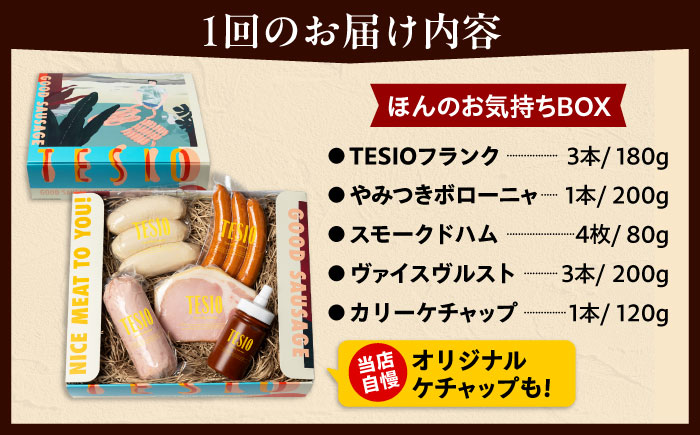【全6回定期便】TESIOの自家製ハム＆ソーセージ 『ほんのお気持ちBOX』 豚肉 ハム ソーセージ 小分け 真空パック 沖縄市 / TESIO [BCAD011]