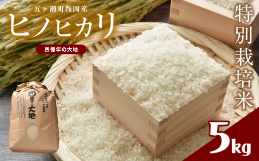 
特別栽培米 四億年の大地（ヒノヒカリ） 5kg
