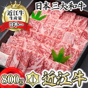 【ふるさと納税】【森村商会】特選近江牛焼肉（ロース・バラ）800g【冷凍】【牛肉 ランキング 極上 ブランド牛 旨み たっぷり 送料無料 】【国産】