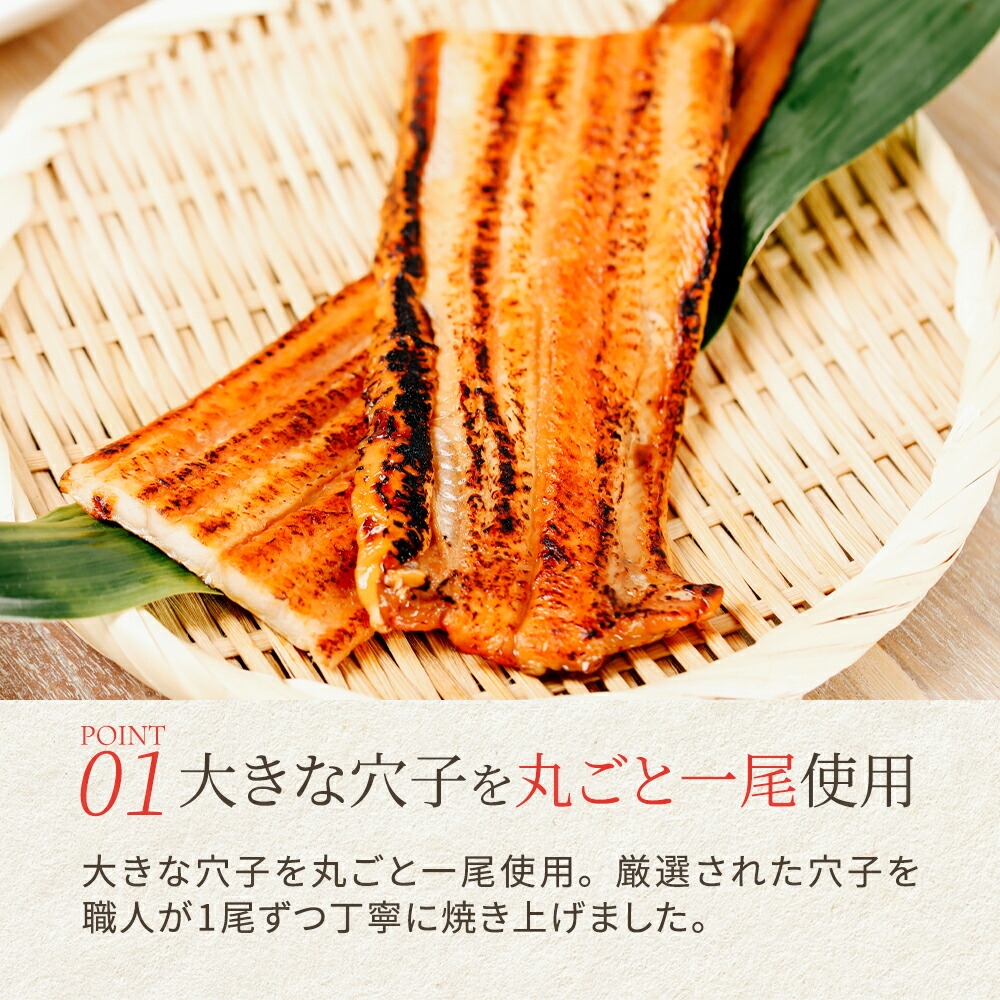 ごちそう穴子めし【2合セット】+出汁茶漬け付 | AN010