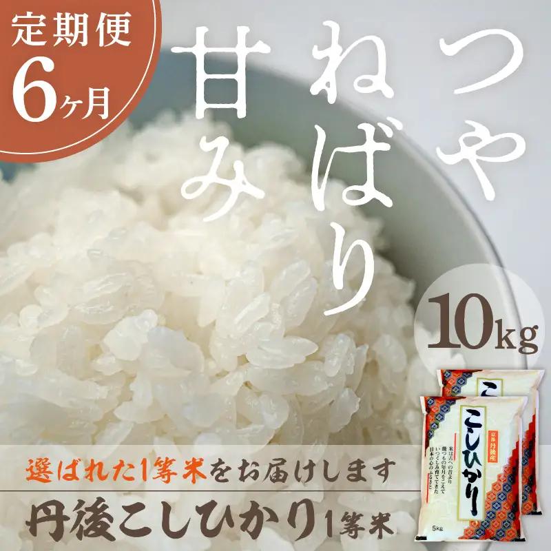 【定期便6回】令和8年産 丹後こしひかり 10kg×6ヵ月 1等米　お米 コメ こめ 丹後 コシヒカリ 精米 ふるさと 納税 コシヒカリ 精米 ふるさと 納税 こしひかり 精米 ふるさと 納税 米