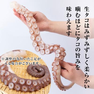ふるさと納税 天塩町 ☆天塩町産たこ足3kg【お刺身や酢の物に!】 |  | 02