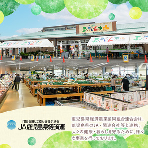 《定期便・全３回》野菜と果物旬の詰め合わせ(12～14品目) 国産 九州産 鹿児島県産 野菜 やさい果物 くだもの フルーツ デザート 詰め合わせ お楽しみ セット 旬【鹿児島県経済農業協同組合連合会