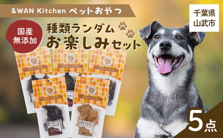 ＆WAN Kitchenペットおやつセット（内容お楽しみセット）（肉・内蔵系ジャーキー×3種、骨系ジャーキー×2種） SMU021