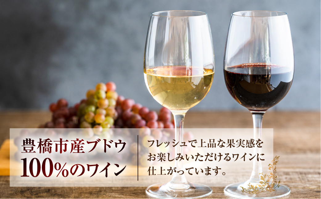 シュタイン カベルネソーヴィニヨン　赤辛口（720ｍｌ）2022年