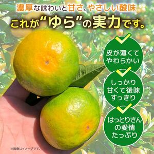 【10月中旬発送】みかん 5kg ２Sサイズ 極早生 みかん 安田町 HT-01