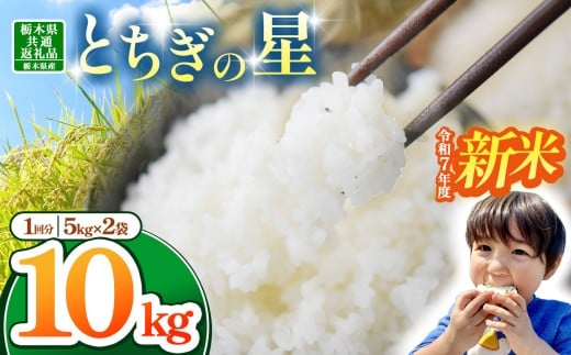 【栃木県共通返礼品】【令和7年度新米先行予約】栃木県産とちぎの星 10kg |ふるさと 納税 とちぎの星 お米 精米 白米 玄米 大粒 共通返礼品 送料無料 那珂川町 栃木県