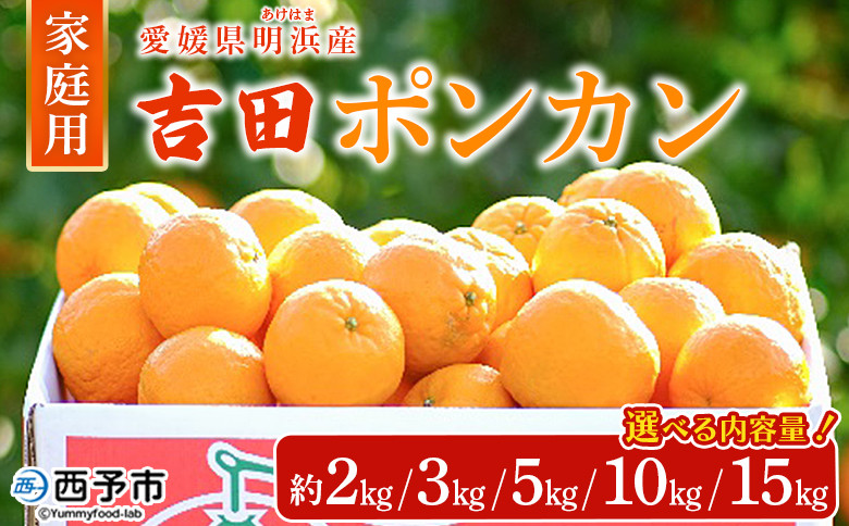 
            愛媛県明浜町産 吉田ポンカン 家庭用 約2／3／5／10／15kg　果物 くだもの フルーツ みかん ミカン 柑橘 吉田ぽんかん よしだぽんかん ヨシダポンカン 訳あり ご自宅用 特産品 愛媛県 西予市【常温】
          