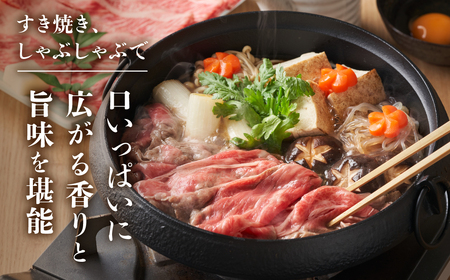 A5等級 飛騨牛 すき焼き 赤身 霜降り 食べ比べ 600g すき焼き [S548]