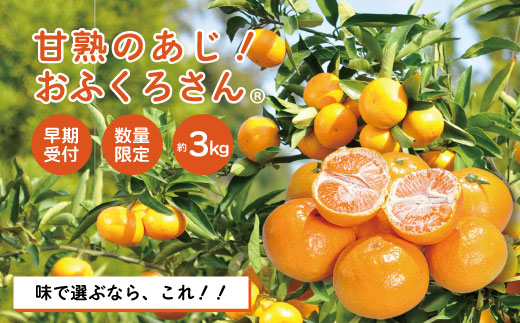 【早期受付・数量限定】農家直送！四万十みかん《おふくろさん》3kg 家庭用 予約 早期受付 数量限定 家庭用 旬 温州 温州みかん みかん 蜜柑 ミカン フルーツ 果物 くだもの 四万十市 四万十 しまんと【2025年11月中旬より順次配送】