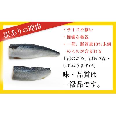ふるさと納税 石巻市 訳あり 無塩サバフィレ3.0kg (30枚前後)  冷凍 さば 鯖 不揃い お魚 焼き魚 石巻応援 |  | 02