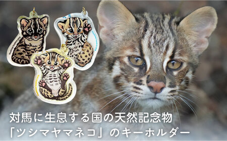 対馬 オリジナル ツシマヤマネコ 両面 アクリルキーホルダー Aセット ≪対馬市≫【一般社団法人MIT】  対馬山猫 アクキー お土産 にゃんこ 赤ちゃん[WAP016]
