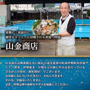 活きサザエ Bコース 2kg（16～24ヶ入り）山金商店 サザエ