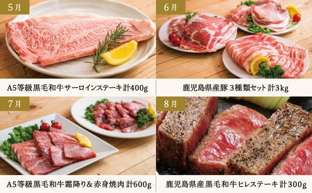 【定期便 全12回】情熱牧場 鹿児島県産お肉の定期便 プレミアムコース お肉 ステーキ すき焼き しゃぶしゃぶ A5等級 ブランド 黒毛和牛 牛肉 豚肉 焼肉 定期便 冷凍