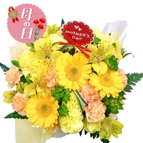 【ふるさと納税】 【先行予約】 母の日に！ 生花 カーネーション アレンジメント イエロー 花 贈り物 お祝い 植物 季節 生花 フラワー ギフト 母の日 2026年5月から順次発送 オンライン決済限定 静岡県 藤枝市