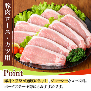 鹿児島県産豚肉ロースとんかつ用(100g×30枚) 国産 九州産 豚肉 ぶた肉 お肉 ロース とんかつ ポークステーキ 冷凍 【TRINITY】_y532