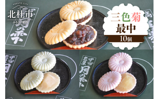 三色菊最中１０個入り 最中 和菓子 お茶菓子 セット 数量限定 計10個入り 小豆粒餡 白餡 柚子餡 贈答品 引菓子 お供え物 山梨県 北杜市 人気 バレンタインデー チョコ以外 ホワイトデー お返し