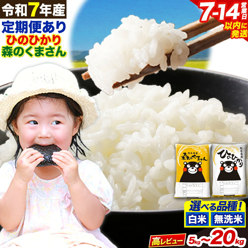 定期便 あり 無洗米 も選べる ひのひかり 10kg 5kg×2袋