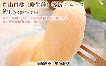 固めの 桃 2026年 先行予約 白桃 晩生種 等級 エース 約1.5kg  5～7玉 桃