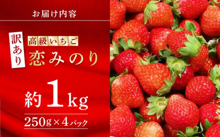 【訳あり】【先行予約】高級 いちご 恋みのり 約1000g【伊藤農園】苺 いちご ストロベリー イチゴ 特産品 オーガニック 有機栽培 [ZBB011]