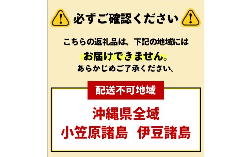 ペプシ コーラ 生 ゼロ 600ml 48本 （24本入 × 2ケース ） pepsi 常温 ペットボトル サントリー 炭酸 炭酸飲料 常備 飲料 ジュース 箱 ペプシBIG＜生＞zero 入山乾商店 埼玉県 羽生市