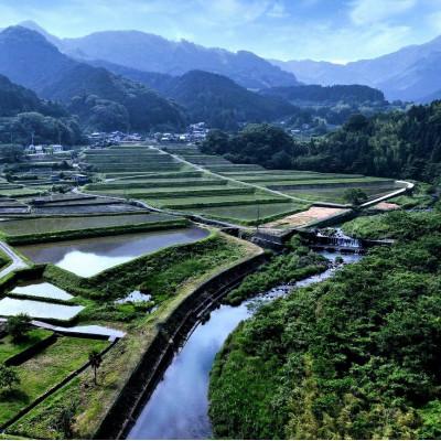 ふるさと納税 東温市 〈坂本自然農場 穂田琉〉 特別栽培米:ひめの凜　精米2kg |  | 02