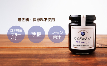 茂木産ブルーベリーを100％使用！ブルーベリージャム 160g×4本 保存料・着色料・香料不使用  | ジャム ジャム ジャム ジャム ジャム