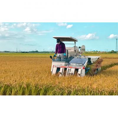 ふるさと納税 新潟市 カガヤキ農園 特別栽培米コシヒカリ10kg [54070189] |  | 02