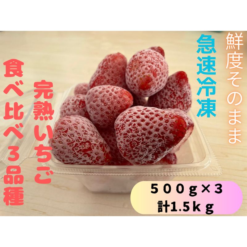 【ふるさと納税】鮮度そのまま!!急速冷凍完熟いちご食べ比べ3品種(紅ほっぺ・かおり野・ほしうらら・やよいひめの中からランダムで3品種)500g×3セット　ふぁいんファーム 果物 冷凍いちご 冷凍フルーツ ストロベリー 国産 　お届け：2025年1月16日～2025年7月15日