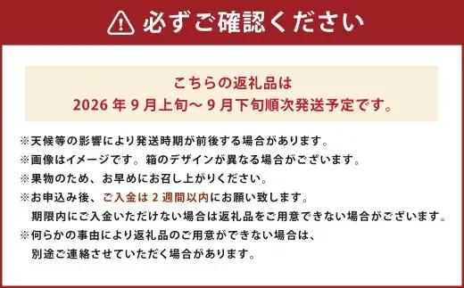 福岡県産 極早生みかん・早味かん 約4kg 早生 ミカン 果物 くだもの フルーツ 柑橘 かんきつ 【2026年9月上旬～9月下旬発送予定】
