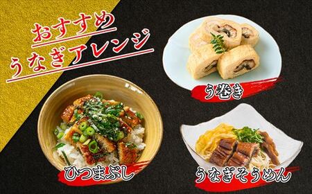 ふっくら肉厚 うなぎ蒲焼 5尾 SF011-1