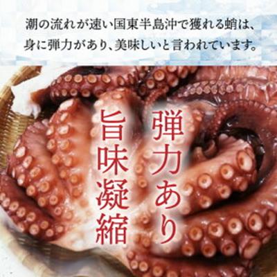 ふるさと納税 国東市 サイズは不揃いでも味は逸品!国東産ボイルたこ足約1kg_2561R |  | 01