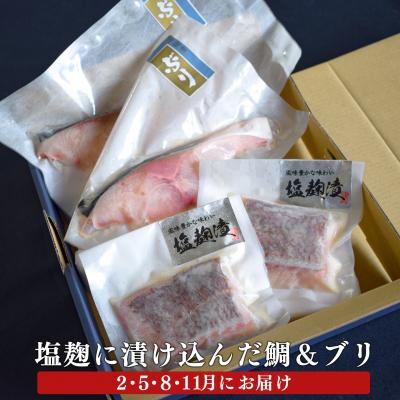 ふるさと納税 大月町 【定期便 4回】塩麹に漬け込んだタイ&ブリ |  | 03