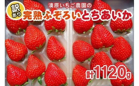 【1月～4月発送】訳あり粒不揃い とちあいか | 1,120g (280g×4P) | いちご 