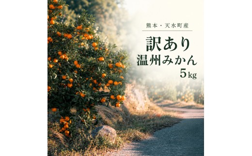 訳あり 温州みかん箱込み5キロ 杉山農園 | フルーツ 果物 くだもの 柑橘 ミカン みかん 熊本県 玉名市