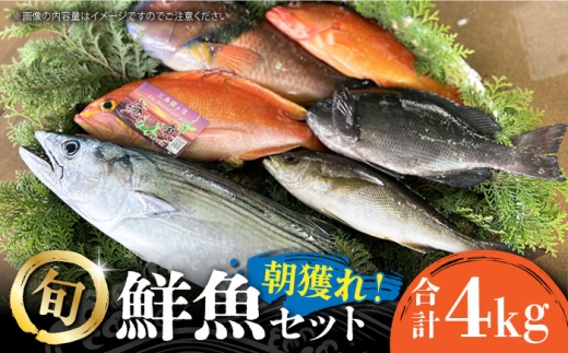 朝獲れ鮮魚セット4kg【五島列島直送】五島市/鯛福丸水産[PDP011]鮮魚BOX 詰め合わせ 詰合せ せんぎょ 冷蔵 刺身 魚 海鮮 直送 さかな 新鮮人気 おすすめ