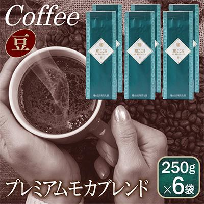 ふるさと納税 泉佐野市 和ごころブレンド 250g×6袋/豆