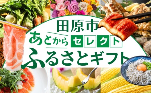 ＼約500品から選べる／あとから選べる！オンラインカタログ あとからセレクト 地鶏 名古屋コーチン 牛肉 肉 国産牛 田原ポーク 豚肉 いちご メロン 選べる しらす うなぎ カタログ 定期便 特産品 グルメ 田原市