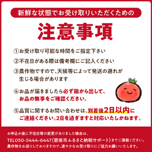 【先行受付】2026年11月から発送 まるでトマトの宝石箱！フルーツジュエリートマト約1.6㎏ 長田農園 産地直送 トマト とまと 野菜 やさい フルーツ サラダ 濃厚 甘い ご褒美 プレゼント 美容