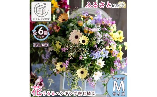A031 花うるる 定期便 ハンギング 寄せ植え アレンジコース全6回 (サブスク ハンギングバスケット 母の日 春 夏 秋 冬 定期購入 ギフト 花 フラワー 玄関 プレゼント 通販 鉢植え おしゃれ 送料無料 玄関 ガーデニング フラワーギフト 完成品 花苗 寄植え