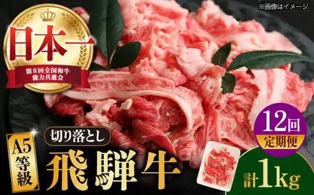 【12回定期便】【飛騨牛】A5等級切り落とし 1kg [TAZ017]飛騨牛 切り落とし